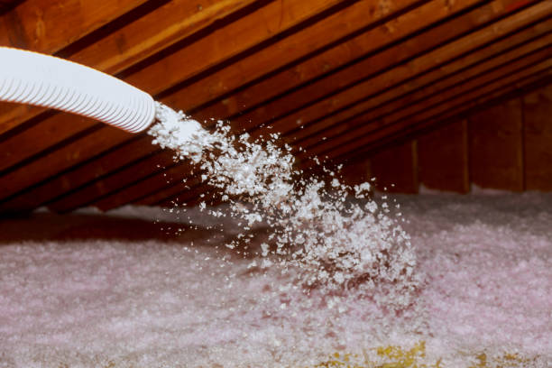 Best Attic Insulation Installation  in Coalfield, TN